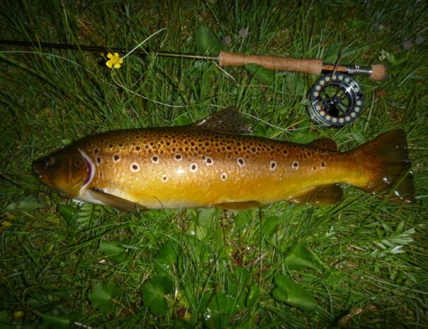 Loch Lanlish catch